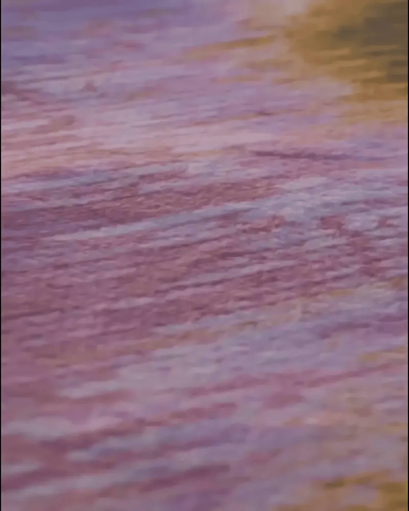 Video of a close up 3mm pile detail of the pink and green abstract floral cowhide area rug, capturing the plush faux wool texture and vivid colors on the dopamine area rug for an eclectic home.